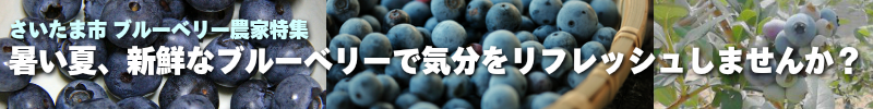 buleberry.png